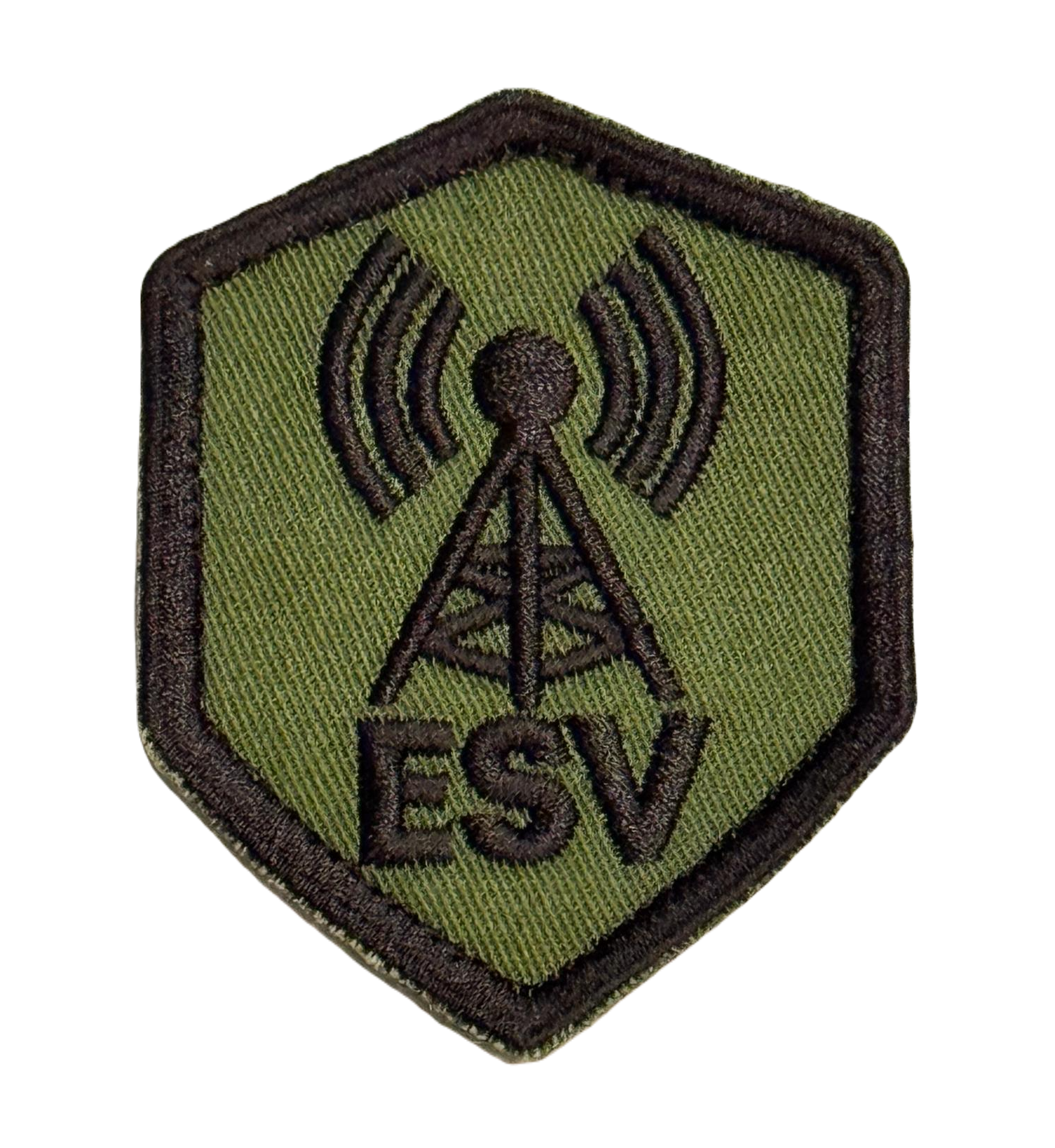 esvlogo_transparent (1)